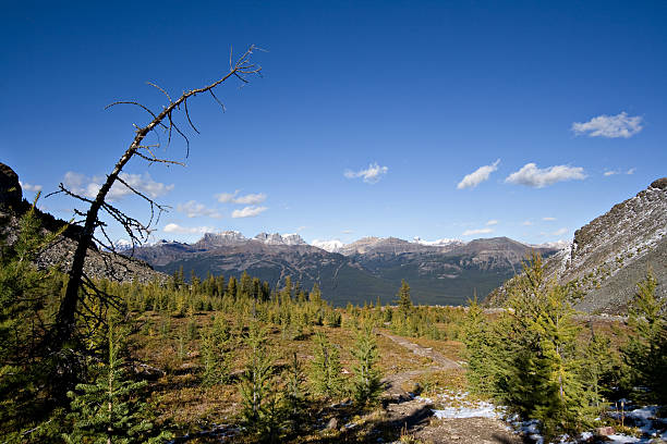 istock Banff National Park, Alberta 172513839