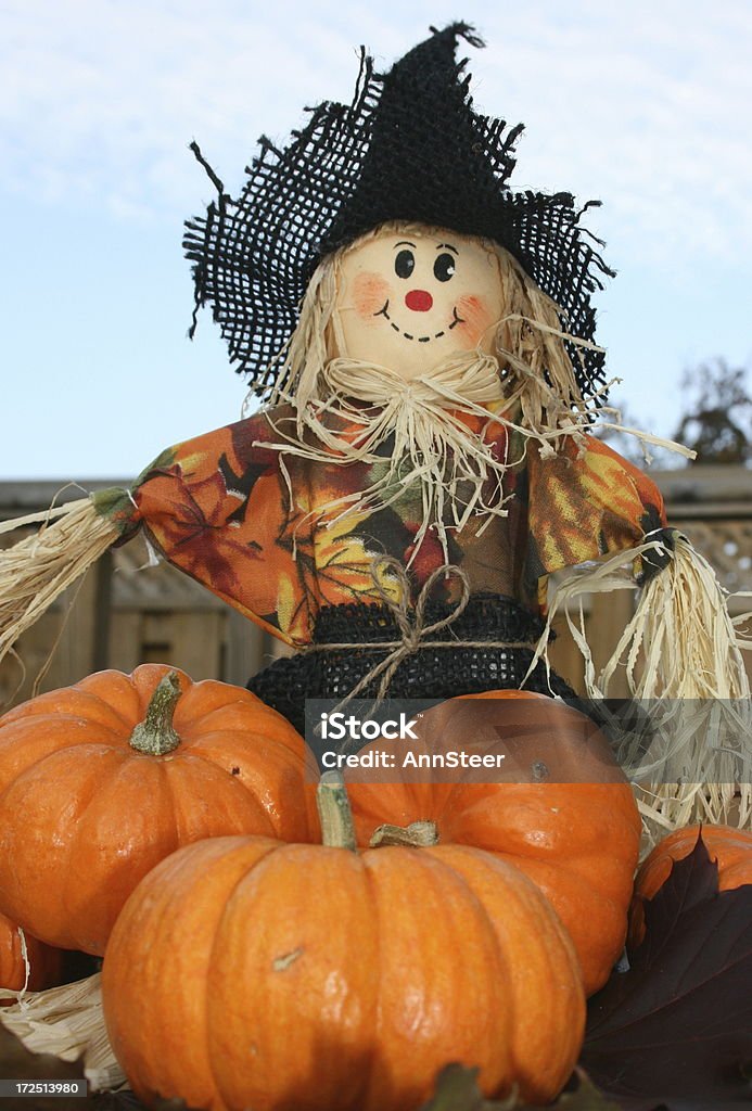 scarecrow and pumpkins a scarecrow with orange baby pumpkins. Typical Halloween and Thanksgiving display in America and Canada Scarecrow - Agricultural Equipment Stock Photo