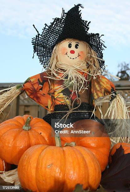 Scarecrow And Pumpkins Stock Photo - Download Image Now - Scarecrow - Agricultural Equipment, Autumn, Celebration Event