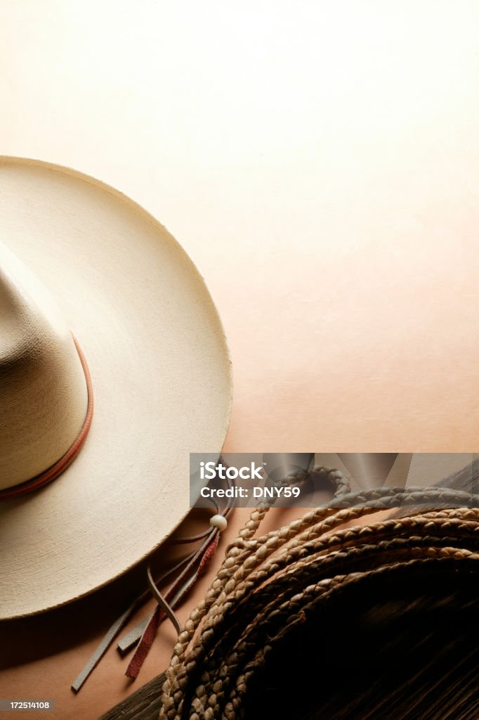 Western Theme A cowboy hat and a lasso on an old leather surface American Culture Stock Photo