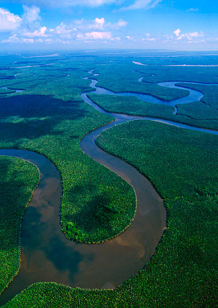 o delta no leste de kalimantan mahakamwaters_world-class.kgm - river aerial view delta rainforest imagens e fotografias de stock