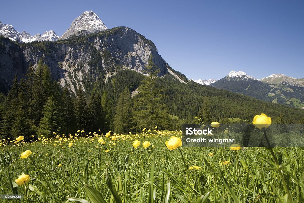 alpine meadows - Foto de stock de Abandonado royalty-free