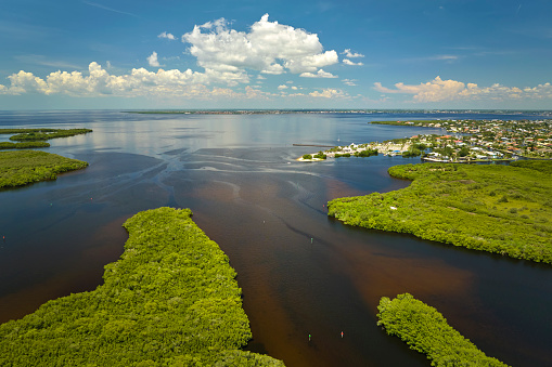 Aerial view of Florida wetlands with green vegetation between ocean water inlets and distant residential houses. Natural habitat of many tropical species.