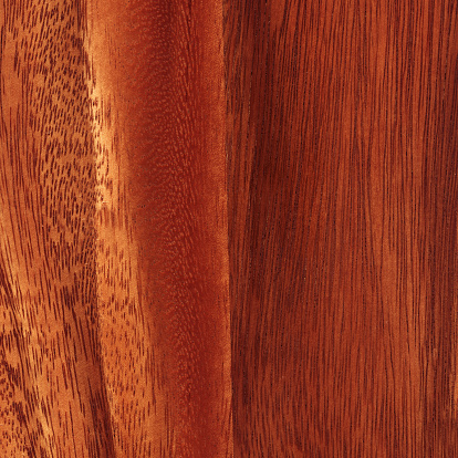 Perfect for jungle and African themes! High resolution image of actual wood, not veneer.