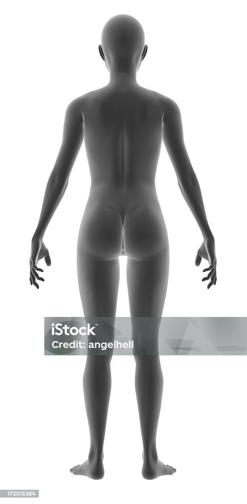 Человеческого тела женщина в рамках исследования - Стоковые фото Белый фон роялти-фри
