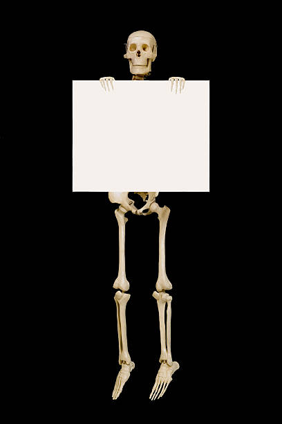 istock Halloween Skeleton Holding a Blank Sign 172515643