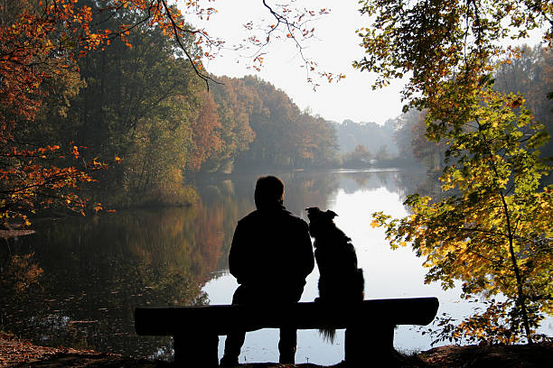 Man and dog . You see a man and a dog as a silhouette in front of an autumn landscape. park bench photos stock pictures, royalty-free photos & images