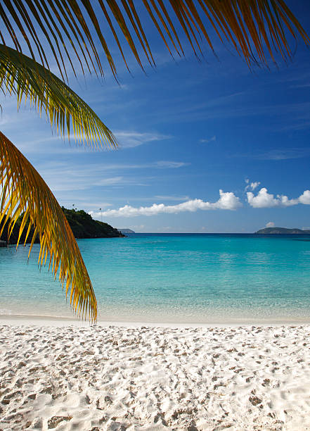 istock gorgeous beach at Trunk Bay, St.John, US Virgin Islands 172515953