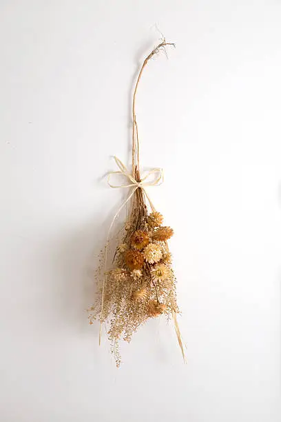 Photo of Dried Flowers