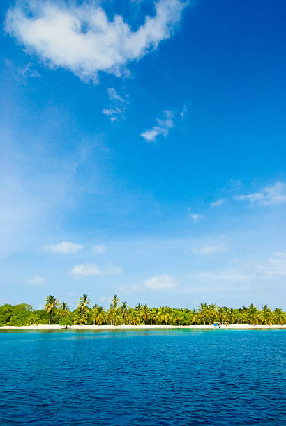 istock Lonely tropical island in the Caribbean 172516412