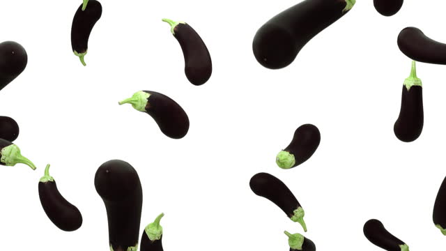 Aubergines are falling into transparent space on white background. Seamless looped 4K Footage