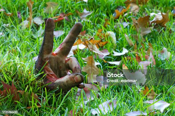 Il Suo Look È Così Apace - Fotografie stock e altre immagini di Ambientazione esterna - Ambientazione esterna, Antigienico, Arto umano