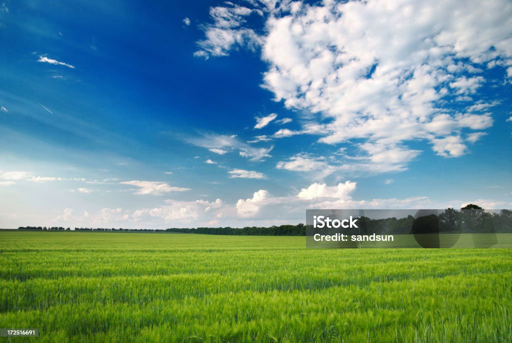 wonderland - Foto de stock de Agricultura royalty-free