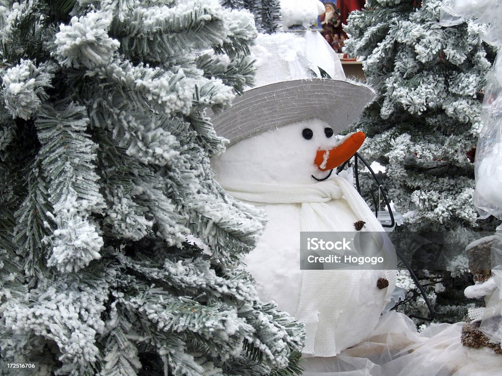 Little boneco de neve - Foto de stock de Boneco de Neve royalty-free