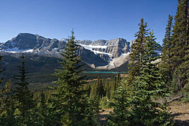 istock Crowfoot Glacier,  Banff National Park, Alberta 172516901