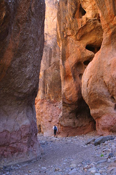 istock Canyon Hiking in Mexico 172517345