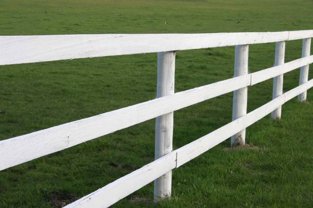 The grassy fields and white fences of Mariposa County (Home of Yosemite) is located in the American state of California. The population is approximately 18,251 and is located in the western foothills of the Sierra Nevada mountains.