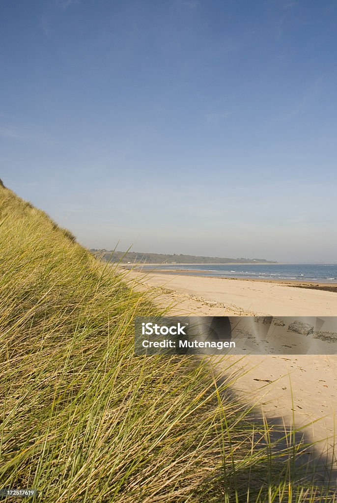 Alnmouth - Стоковые фото Craster роялти-фри