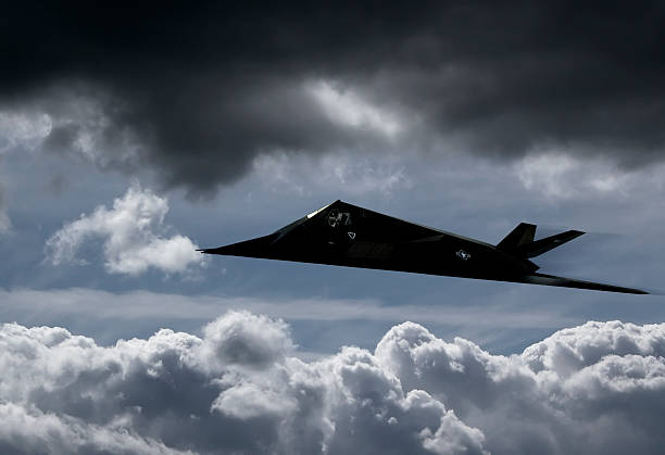 istock Stealth fighter - F-117A Nighthawk 172517620