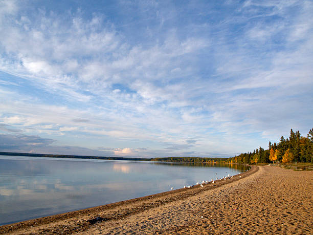 himmel und strand in der wildnis - prince albert national park stock-fotos und bilder