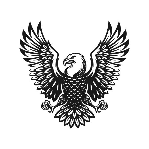 독수리 기호 그림입니다. 흰색 배경에 아이콘 디자인입니다. - symbol military star eagle stock illustrations
