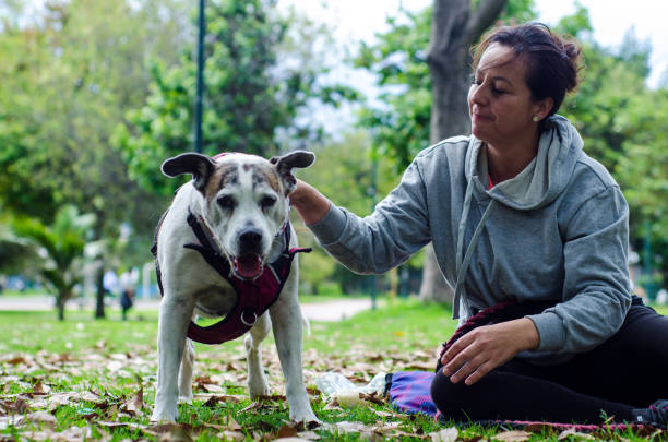 istock middle aged woman playing with dog in public park 1725198214