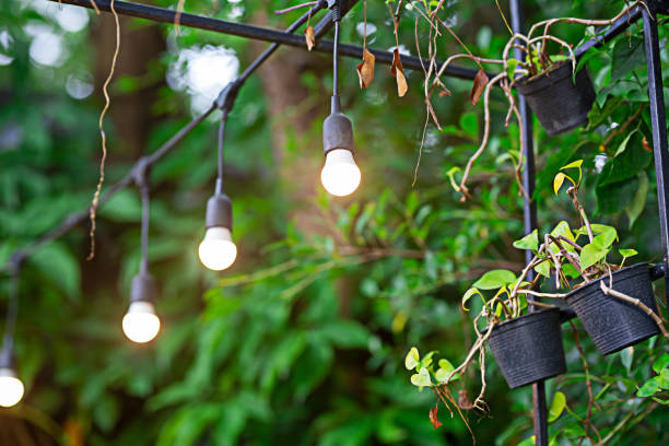 istock many electric lights in the garden 1725280404