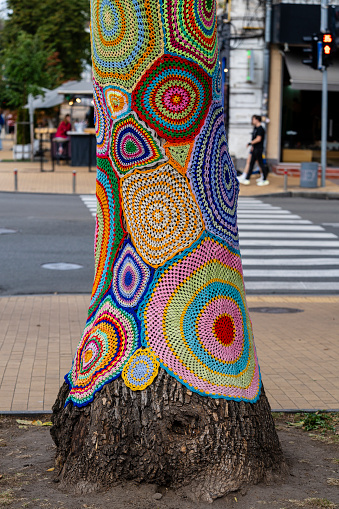 Colorful crochet knit on a tree trunk in Kyiv, Ukraine. Street art goes by different names, graffiti knitting, yarn bombing. Abstract background of knitted rugs with a multicolored circles pattern