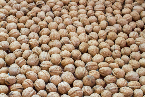 Lots of natural walnuts. Drying walnuts. Nut texture.