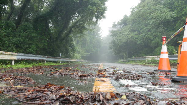 istock After a rainy day on the montain 1725479363