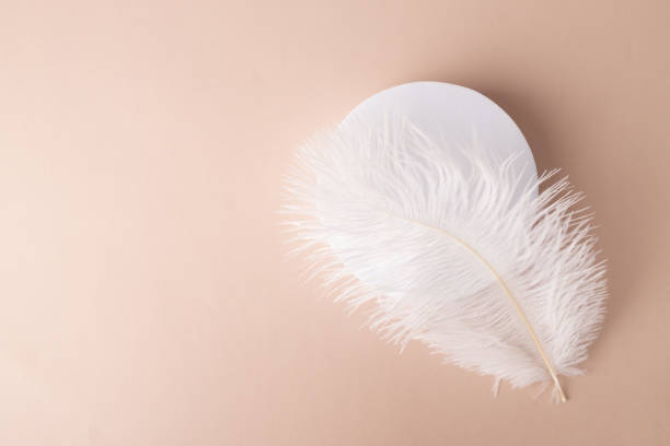 istock Feather and podium cosmetics mockup on natural background, presenting cosmetics with the delicate touch of an angel's wing, a pastel dream 1725512797