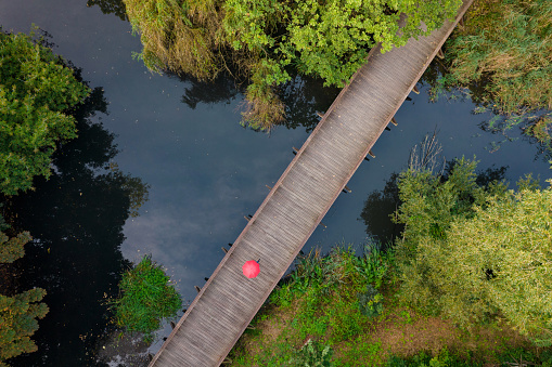 Top-down view of person under a red umbrella walking on a wooden path in the park