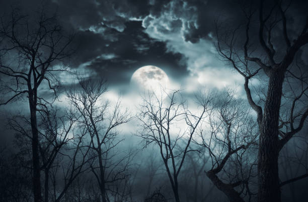 istock Scary dry trees and moon: horror background 1725529591