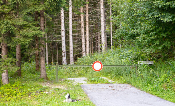 Forrest road in Italy, no entry, blocked