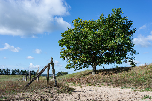 Landscape near village Upost with tree and wooden fence