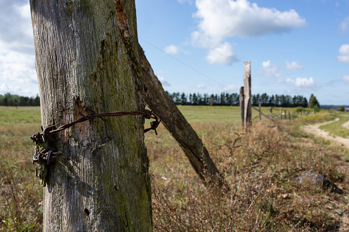 Details of a wooden fence with rusty barbed wire on a meadow near village Upost