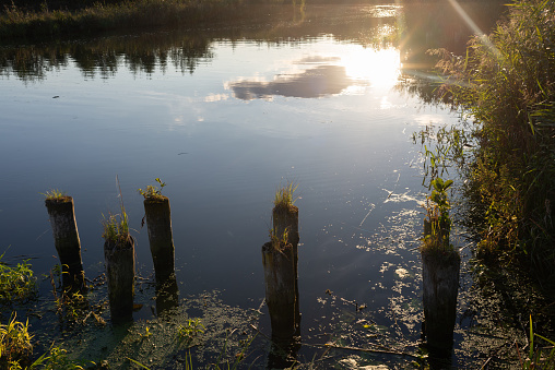 Moody evenening at river Peene in Mecklenburg Western Pomerania