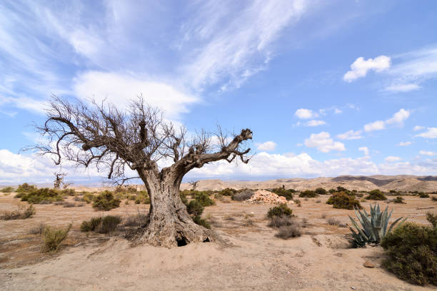 istock Desert Tabernas in Almeria Province Spain 1725558525