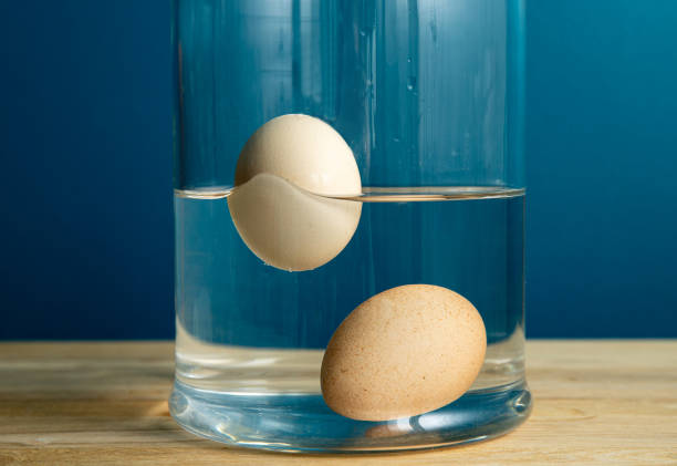 Comparison with fresh edible and old rotten egg. Fresh edible chicken egg is sunken bottom of the glass jar and bad old rotten egg is floating above water. Inside home kitchen.