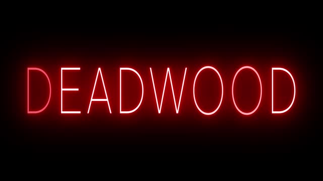 Glowing and blinking red retro neon sign for DEADWOOD