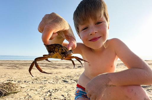 Young Boy holding crab at the beach