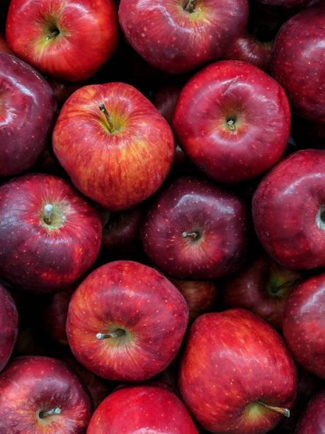 istock Fresh and sweet red apples 1725583676