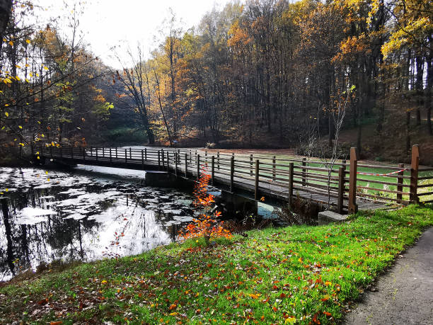 istock autumn in park with river 1725584039