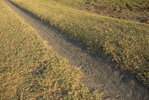 Path is very narrow beside the grass