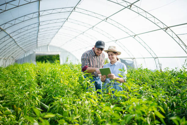 istock Happy workers discussing in greenhouse. 1725594543
