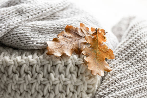 istock Close-up of a stack of knitted sweaters with autumn leaves. 1725603970