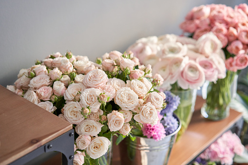 Many different flowers on Showcase. Background of mix of flowers. Beautiful flowers for catalog or online store. Floral shop and delivery concept. High quality photo