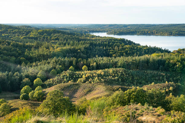 istock The view over the Danish, Nordic forests seen from the highest point in Denmark. Himmelbjerget.  A hill located between Ry and Silkeborg, Denmark in the area known as Søhøjlandet. 1725625921