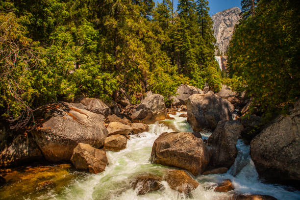 istock A beautiful view of a forest, river and mountain. 1725635510