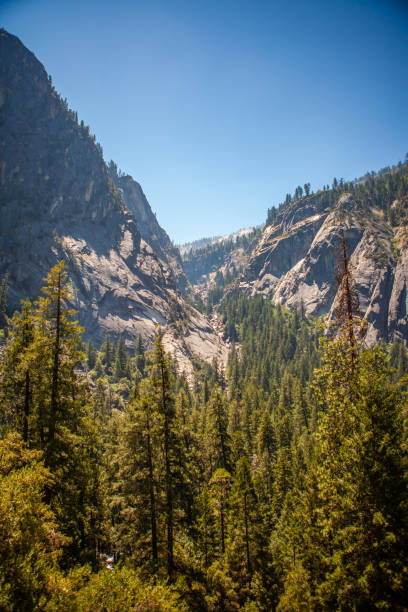 istock A beautiful view of a forest, river and mountain. 1725635532
